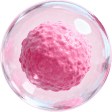 stemcell image1